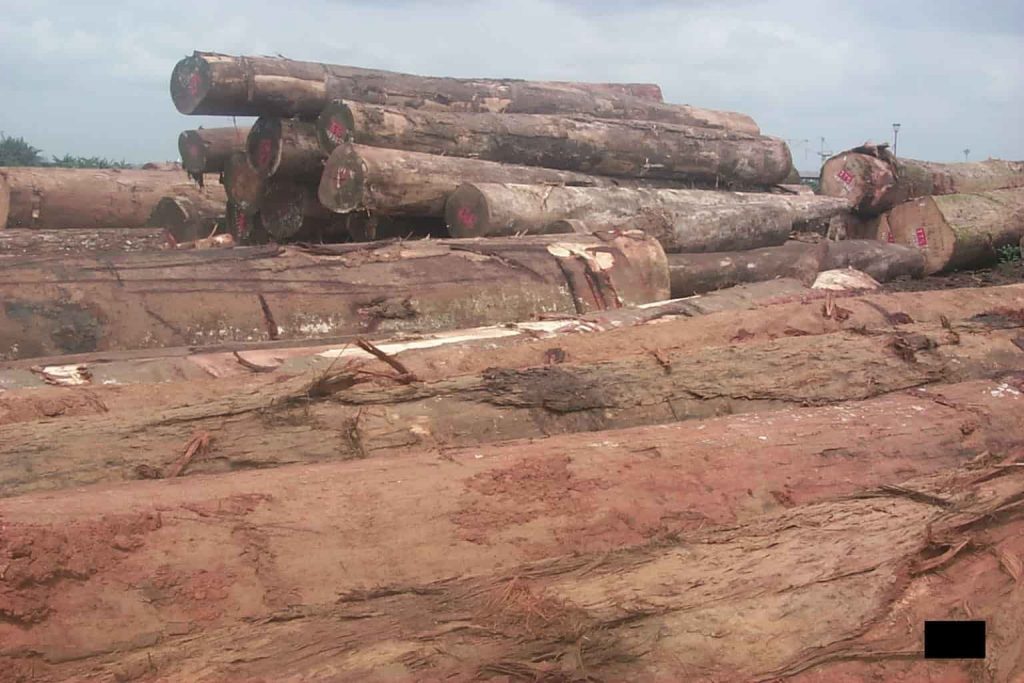exportation du bois au Cameroun