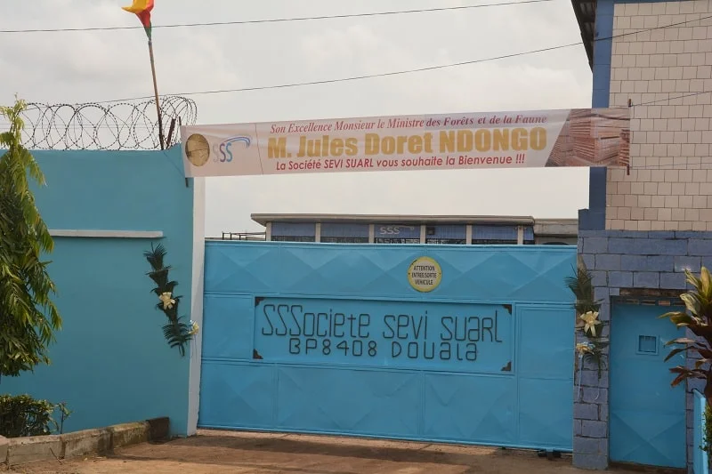 societe sevi suarl meilleures entreprises d'exploitation forestier au cameroun
