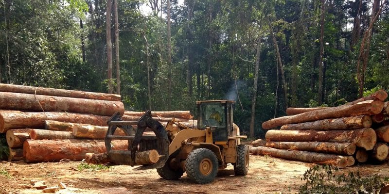 Les Etapes cruciales de la transformation du bois
