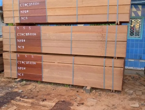 Nouvel arrivage Mai 2025 chez Sevi Suarl